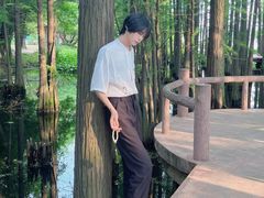 -东湖落雁景区