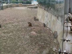 -无锡动物园·太湖欢乐园