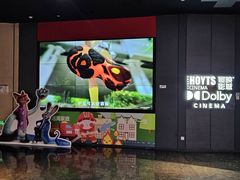 -寰映影城(朝阳合生汇杜比影院店)