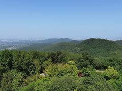 -南京老山国家森林公园
