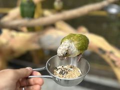 -昆明动物园