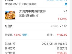 -达美乐比萨(武定店)