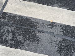 -索拉古贝(义乌北苑店)