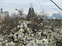 -台场海滨公园船码头
