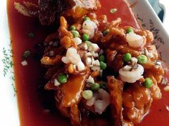 -云中小雅