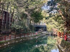 -十八棵（老龙井）御茶园(老龙井店)