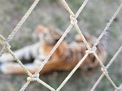 -西霞口神雕山野生动物世界