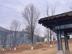 -桂溪生态公园
