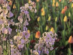 -杭州西湖湖滨银泰亚朵酒店