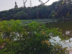 -八卦田遗址公园