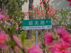 -八大关景区