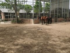 -迪茵湖田家舍生态农场