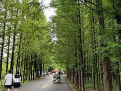 -日照海滨国家森林公园