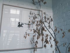 -苏州本色美术馆