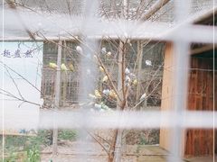 -宁波浙东大竹海景区