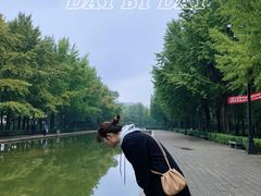 -玲珑塔公园