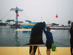 -秦皇岛乐岛海洋王国