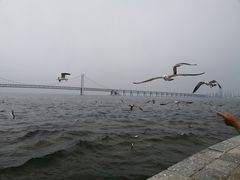 -星海广场