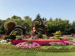 -上海共青森林公园