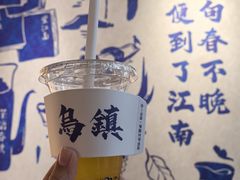 -乌镇东栅景区