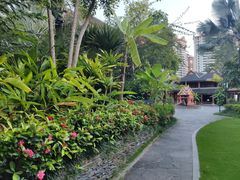 -西双版纳洲际度假酒店兰吧