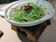 绿豆芽-吴氏老妈·23年家常菜(古城店)