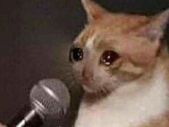 -稻香村(文殊院旗舰店)