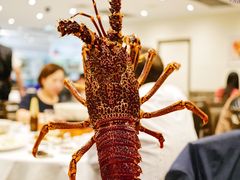 2kg的澳洲龙虾-福升海鲜洒楼