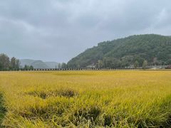 -南泥湾风景区