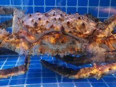 -锦色·烧鹅·海鲜(臻享店)