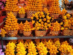 -越秀西湖花市(广州城市广场花卉店)