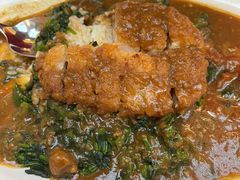 -伽喱博士 Dr.CURRY咖喱饭(太阳宫咖喱店)