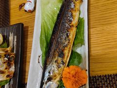 -樱の千渡日式料理·铁板烧•烧鸟(金盛田广场店)