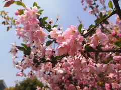 -上海科技馆(地铁站)