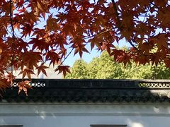 -秋霞圃