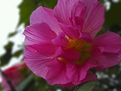 -艾溪湖湿地公园