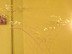 -丰一(武昌店)