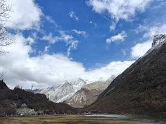 -小志家.野生菌鲜切牦牛肉牛杂火锅