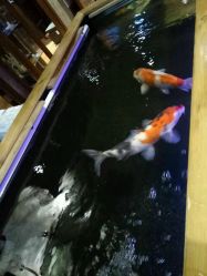 点击看大图 -鳌首刺青纹身 穿孔饰品店