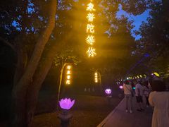 -印象普陀
