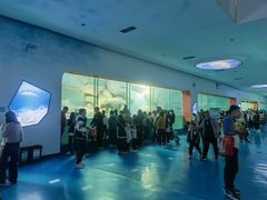 -泉城欧乐堡海洋极地世界