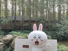 -日照海滨国家森林公园