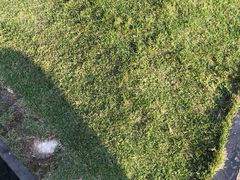 -云里小坐·小院里·团建·宴请·下午茶(三圣乡店)