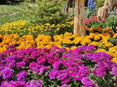 -国家植物园南园