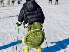 -蓟县盘山滑雪场