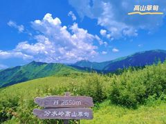 -秦岭风景区