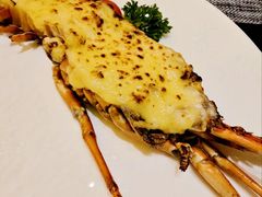 小青龙-百香自助餐厅·西安唐隆国际酒店(曲江店)