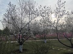 -济南植物园