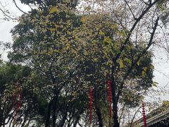 -天一阁博物院