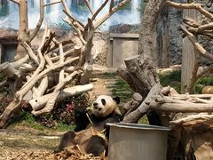 -石排湾郊野公园